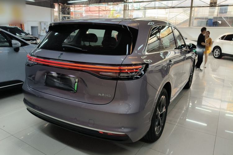 Used Hima H5 2025 Model Pure Electric Max Long Range Rear Right 45 Deg