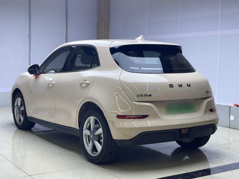 Used ORA Good Cat 2025 Model, 430 km Prestige Version — 38