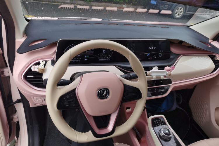 Used Oshan Benni E-Star 2022 Qingxin Edition Colorful Model Lithium Iron Phosphate
