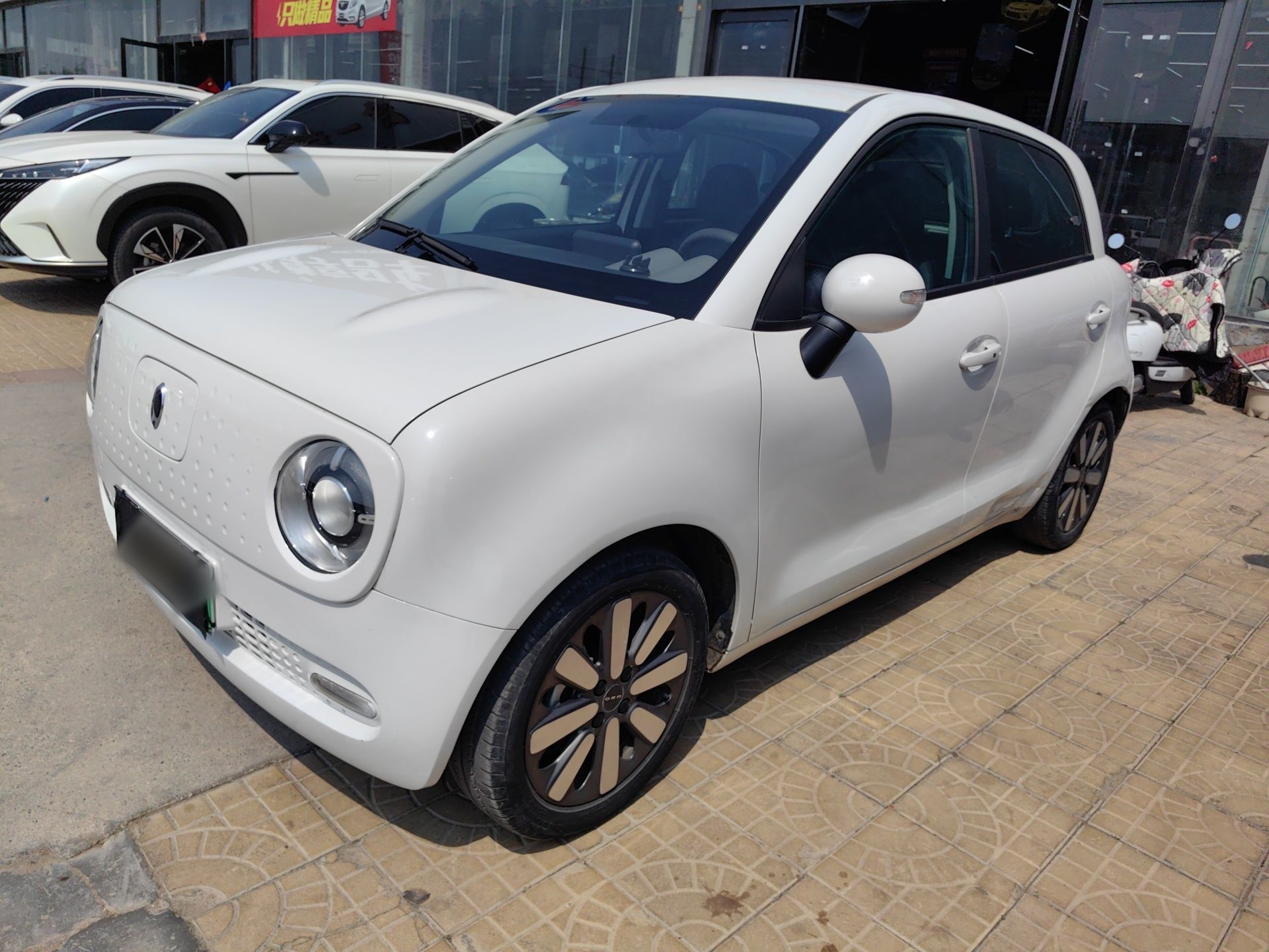 تحت مقدمة السيارة