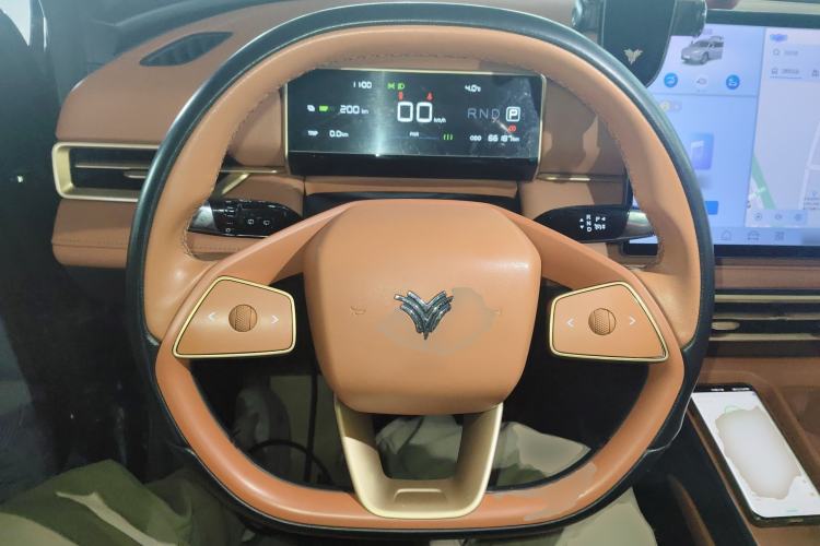 Used NETA X 2024 500 First Edition
