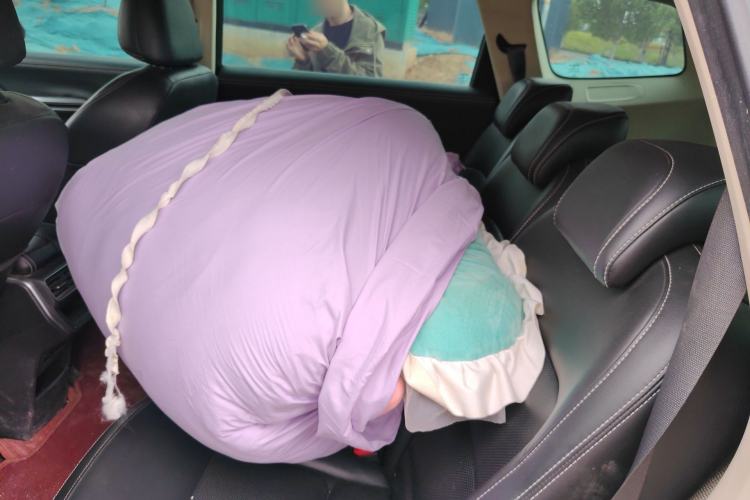 Used Geely Auto Haoyue 2020 1.8TD DCT Luxury 7-Seater Left Rear Seat