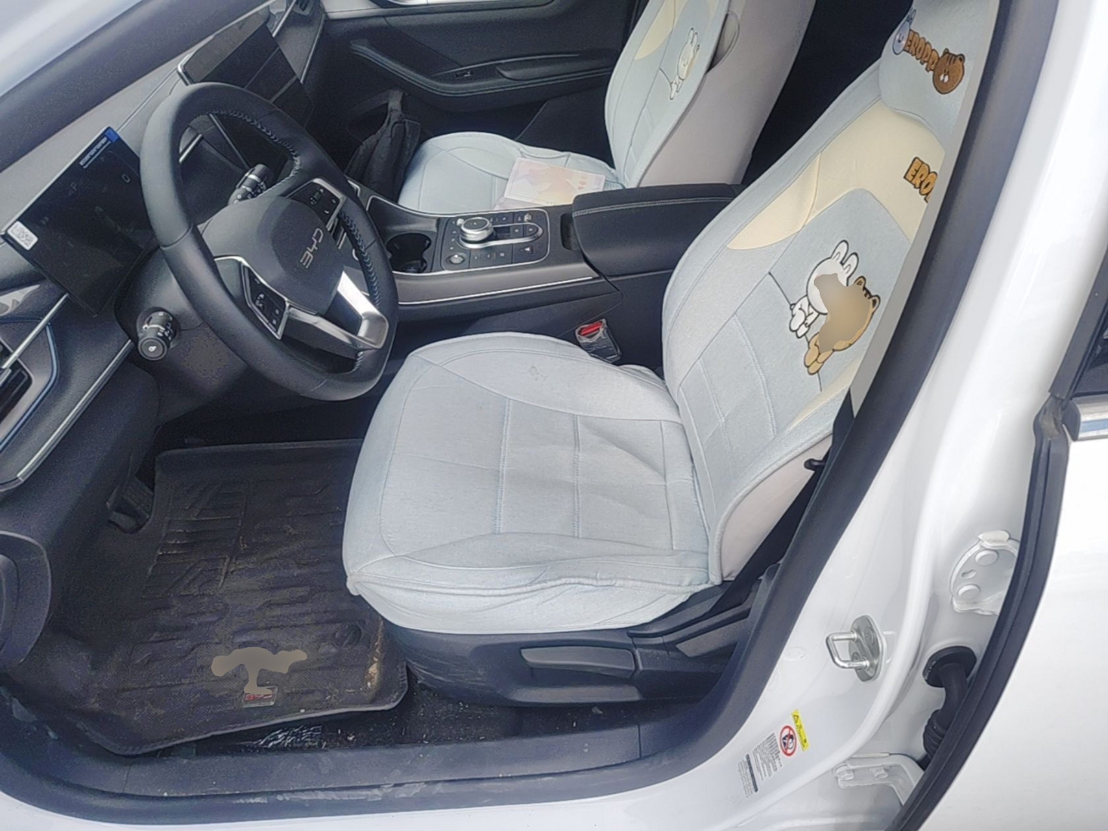 Interior delantero