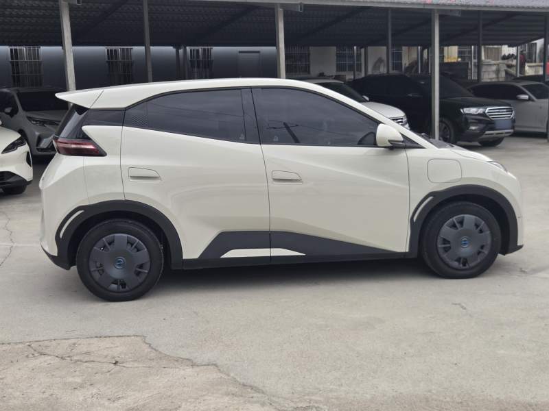 Used BYD Seagull 2025 Intelligent Driving Version 305 km Dynamic Edition — 30