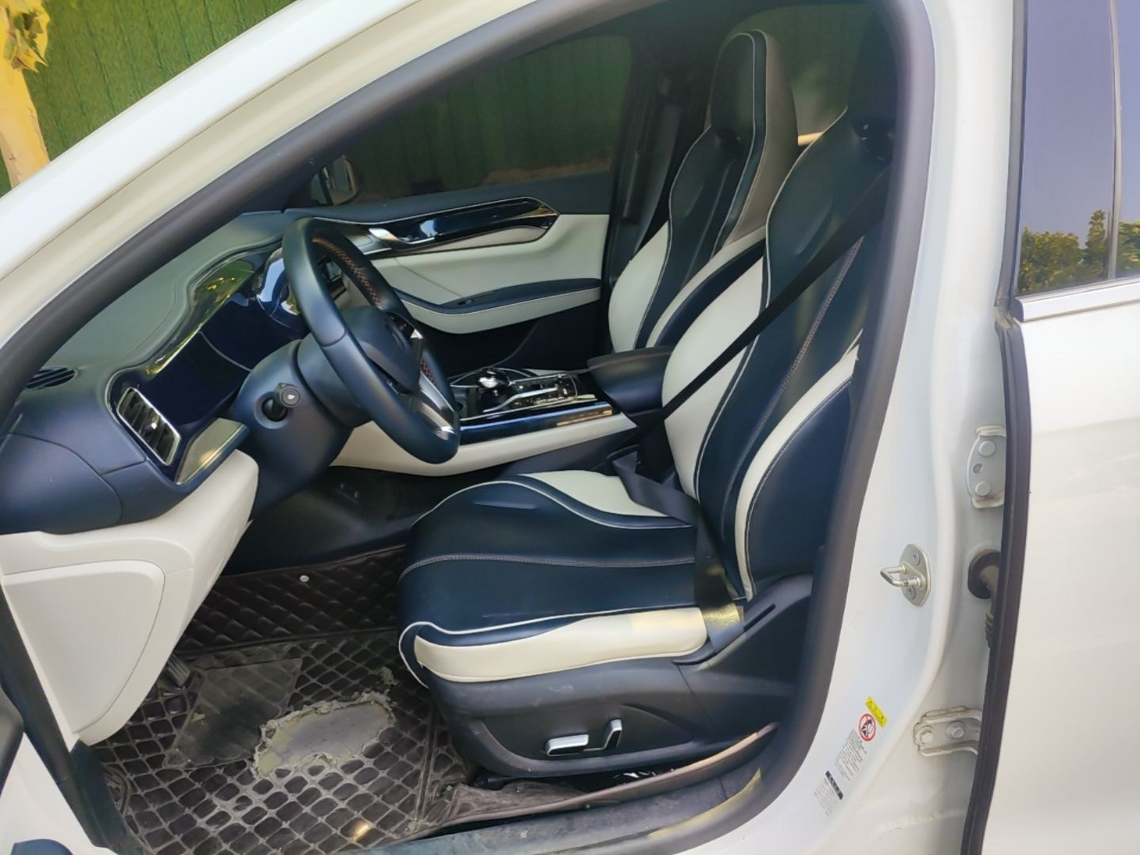 Interior delantero