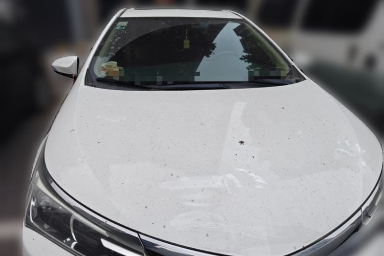 Used Toyota Corolla 2017 Revised Version 1.2T S-CVT GL-i Leather Edition Front