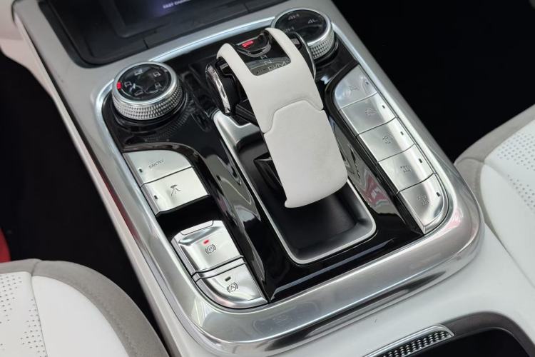 Used Cyberspace Tank 300 2021 2.0T Cyber Tank