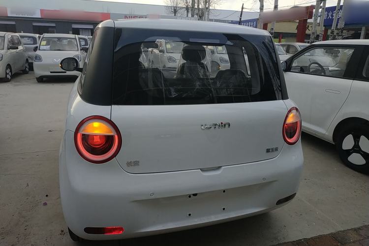 Used Qiyuan Lumin 2025 205 km Xiangqin Version
