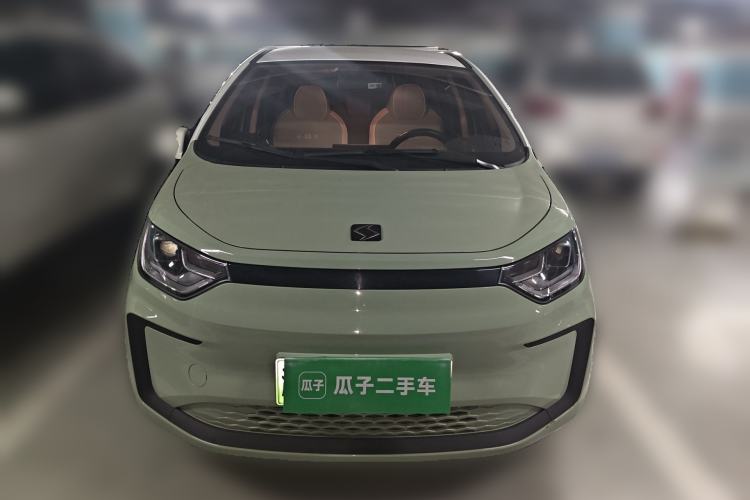 Used SOL E10X 2022 Flower Fairy Design Four-Leaf Clover