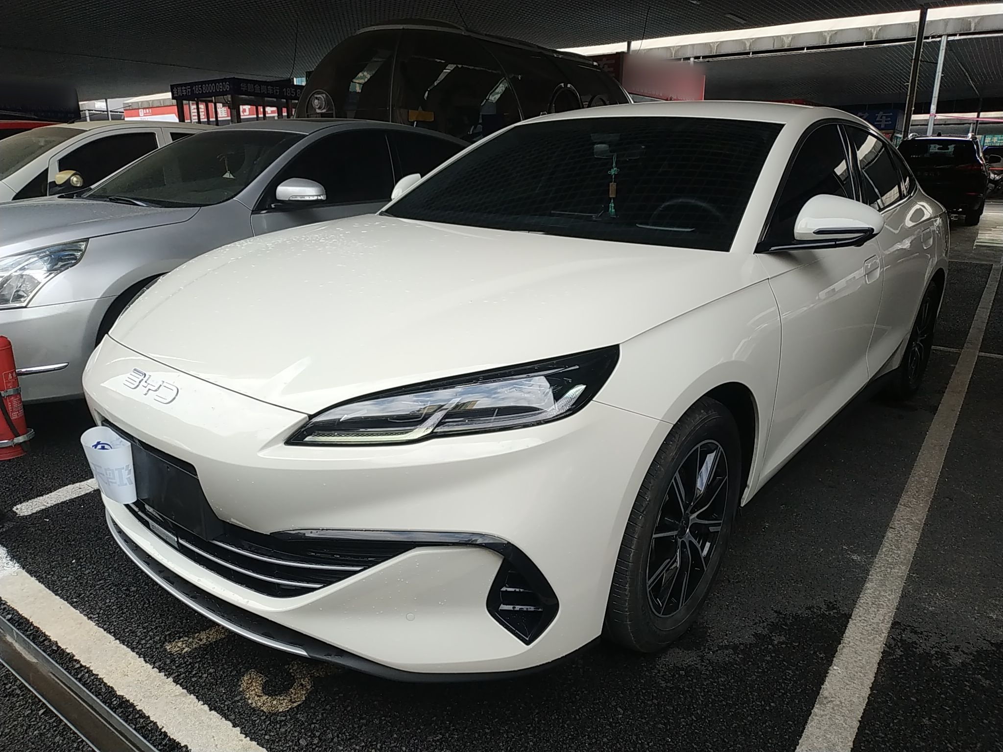 Parte inferior delantera