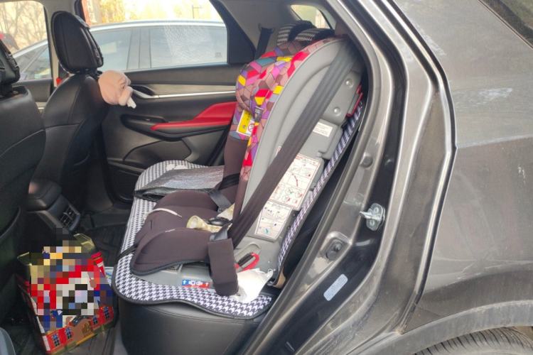 Used CHANGAN CS55PLUS 2021 Blue Whale Edition 1.5T DCT Prestige Model Left Rear Seat