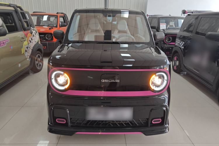 Used Geely Galaxy Panda 2024 200km Panda Kart Front