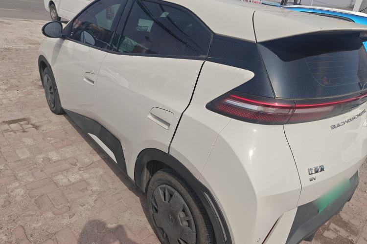 Used BYD Seagull 2024 Honor Edition 305km Dynamic Version Rear Left 45 Deg