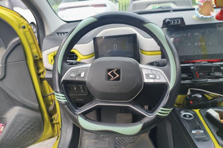 Used SOL E10X 2022 Flower Fairy Design Four-Leaf Clover
