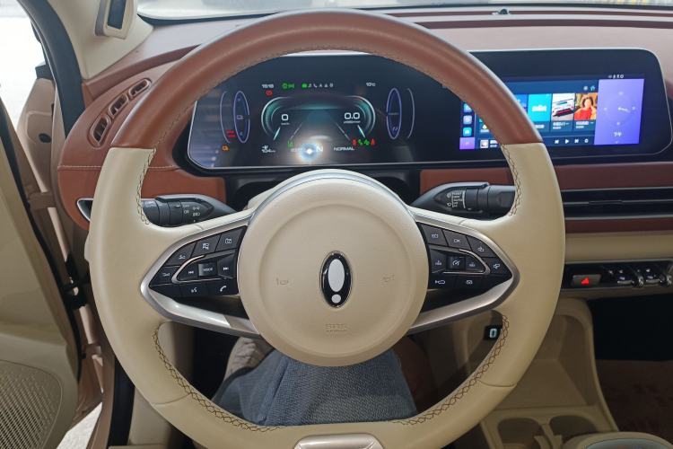 Used ORA Good Cat 2021 400km Standard Range Athena Edition Lithium Iron Phosphate
