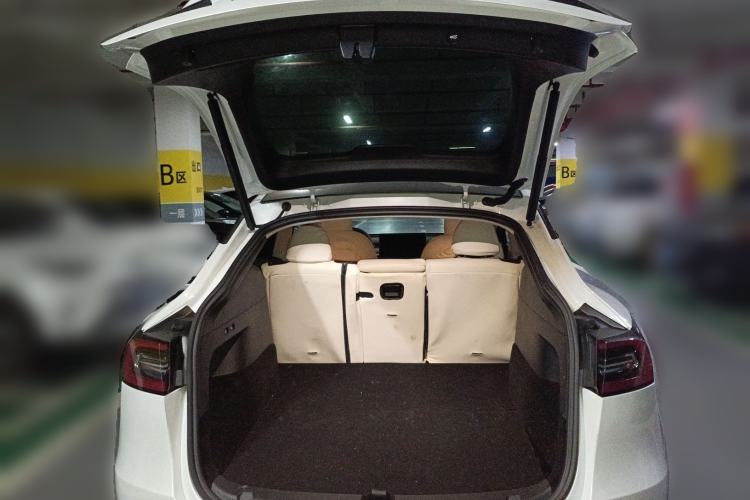 Used Tesla Model Y 2021 Standard Range Rear-Wheel Drive Version
