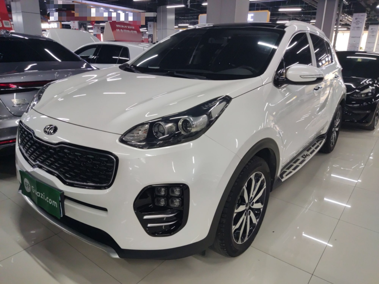 Parte inferior delantera