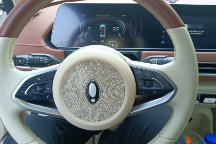 Used ORA Good Cat 2021 400km Standard Range Muse Edition Lithium Iron Phosphate