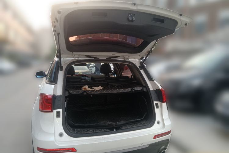 Used Haval H6 Coupe 2018 Blue Label 1.5T Automatic Two-Wheel Drive Ultra-Luxury Model