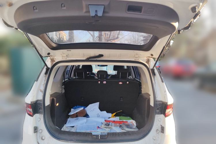 Used Livan Maple 80V 2021 Easy-Drive Version Lithium-Ion
