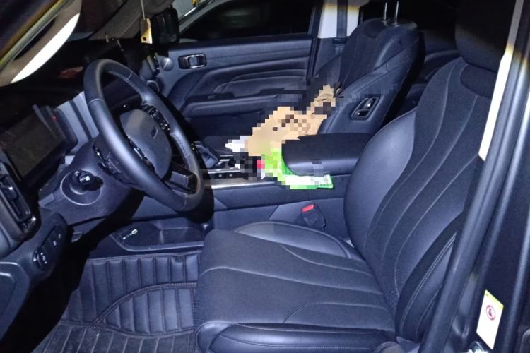 Used Haval H9 2024 2.0T Gasoline All-Wheel-Drive Extreme Edition
