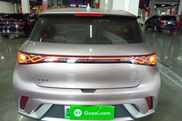 Used BYD Dolphin 2021 405 km Fashion Edition Rear
