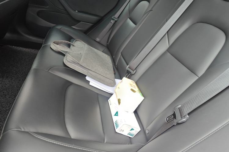 Used Tesla Model 3 2020 Revised Version Standard Range Rear-Wheel Drive – Upgraded Edition Left Rear Seat