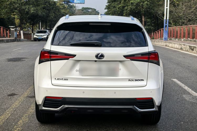 Used Lexus NX 2020 300h Front-Drive FENGSHANG Version China VI Standard Exterior 7