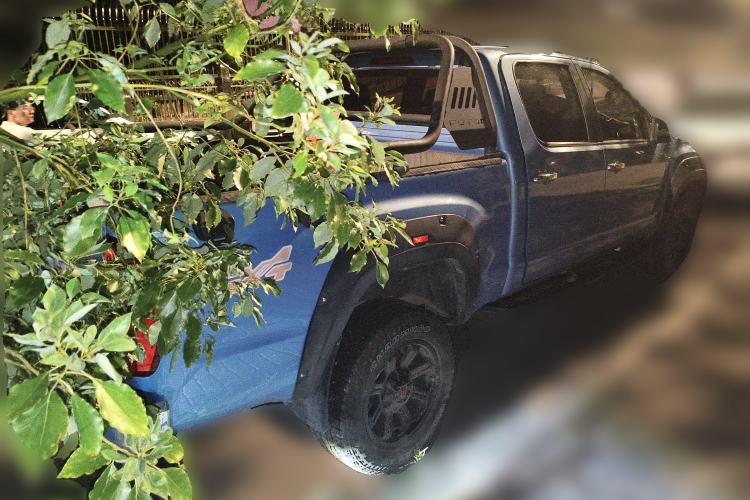 Used Foton General G7 2022 2.0T Diesel Automatic 4x4 Enjoyment Version Long Bed 4F20TC
