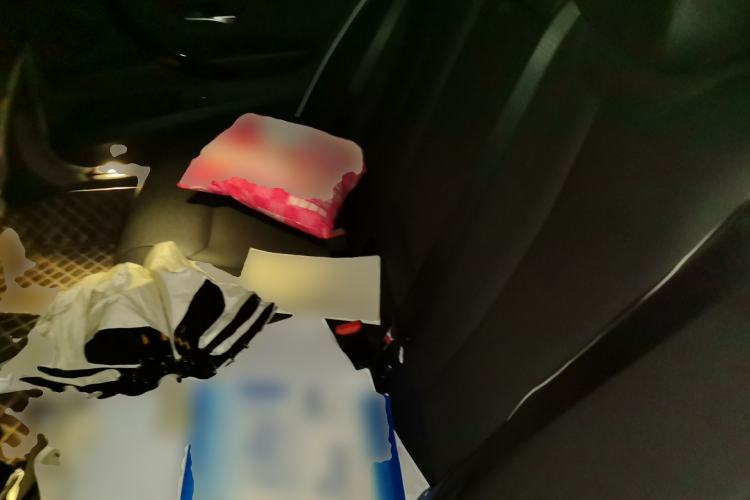 Used BMW 3 Series 2017 318Li Fashion Model Left Rear Seat