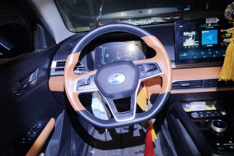 Used BYD e2 2021 Luxury Model Steering Wheel