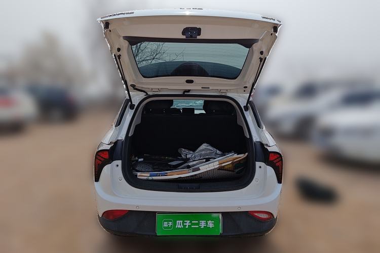 Used NETA V 2021 Long-Range Entertainment Edition Upgrade Model