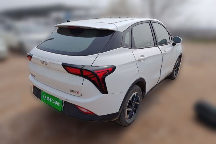 Used NETA V 2021 Long-Range Entertainment Edition Upgrade Model