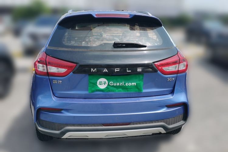 Used Livan Maple 30X 2020 Style Edition
