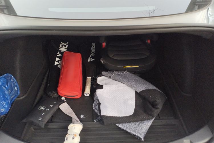 Used Tesla Model 3 2020 Long-Range Rear-Wheel-Drive Version