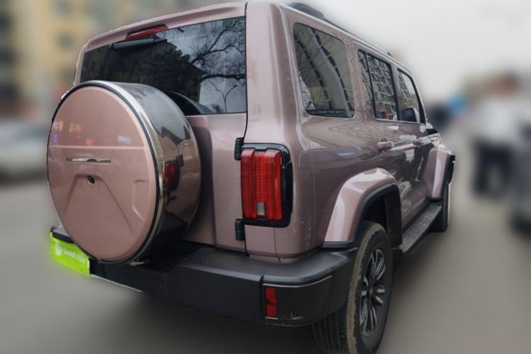 Used Tank 300 2021 City Edition 2.0T My Vision Model
