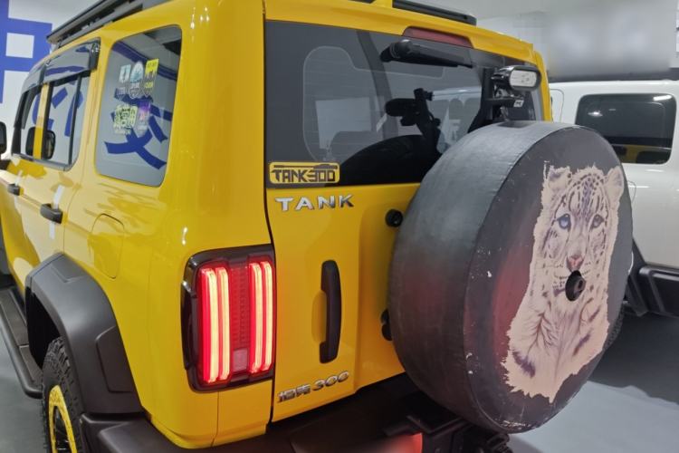 Used Tank 300 2022 2.0T Border Limited Edition
