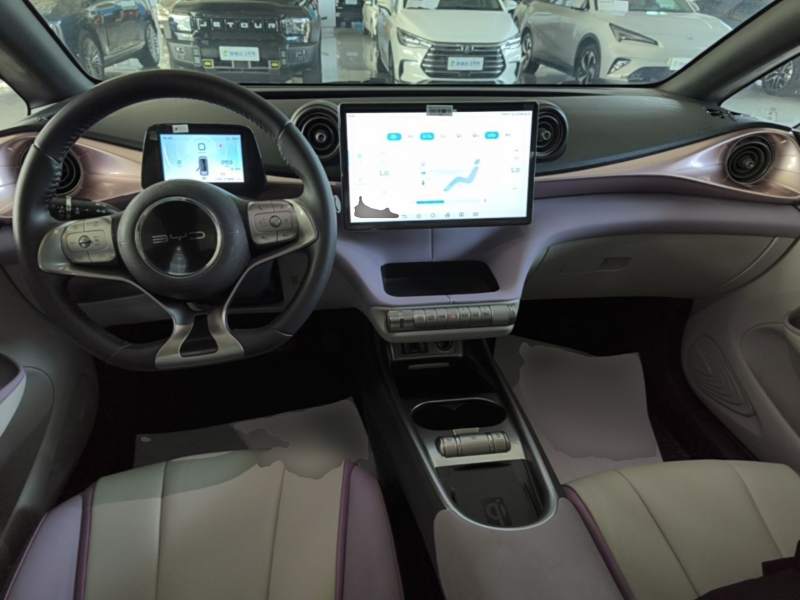 Used BYD Dolphin 2021 401km Knight Edition — 9