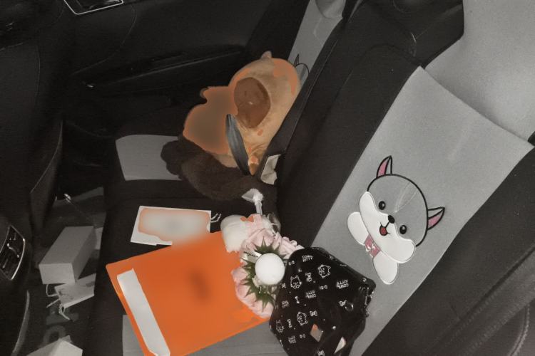 Used Hyundai Mistra 2017 1.8L Automatic Smart GLS China V Standard Left Rear Seat