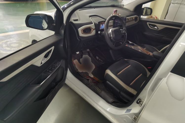 Used SOL E10X 2022 Flower Fairy Design Four-Leaf Clover
