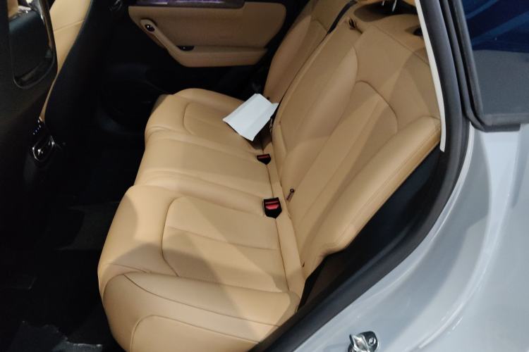 Used Leapmotor C11 2024 Range-Extended 300 Luxury Edition Left Rear Seat