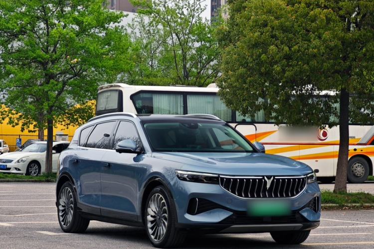 Used VOYAH FREE 2021 Four-Wheel Drive Standard Range-Extended Exclusive Luxury Package
