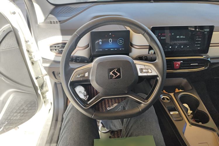 Used SOL E10X 2022 Flower Fairy Design Four-Leaf Clover