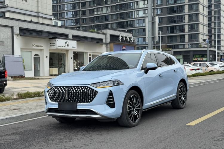 Used Wey Mocha 2021 2.0T Four-Wheel Drive Premium Edition