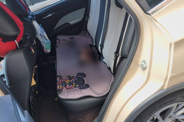 Used NETA AYA 2023 318 Lite Left Rear Seat