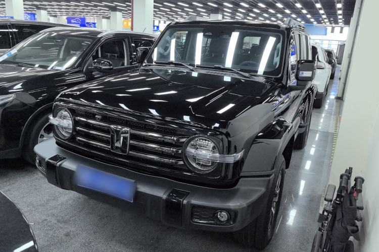 Used Tank 300 2024 2.0T Crosser