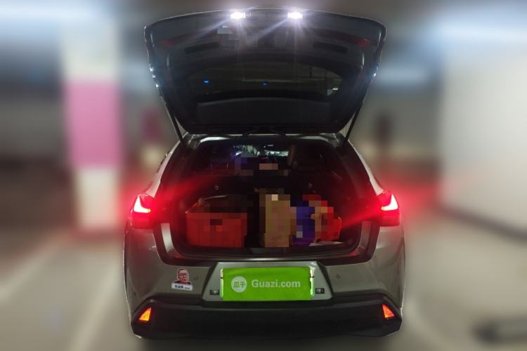 Used Lexus UX New Energy 2020 300e Pure·Joy Edition
