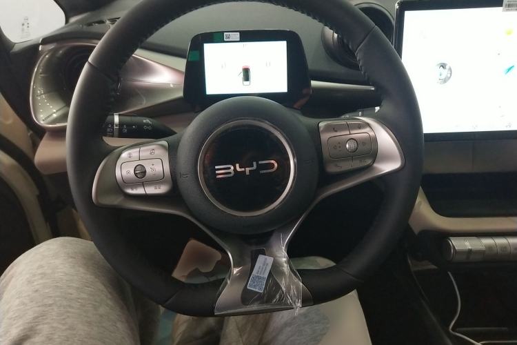 Used BYD Dolphin 2025 420km Free Edition