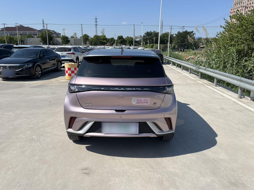 BYD Dolphin 2021 405 km Fashion Edition — снимка 16