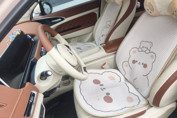 Used ORA Good Cat 2023 401 km Standard Range Luxury Version Lithium Iron Phosphate